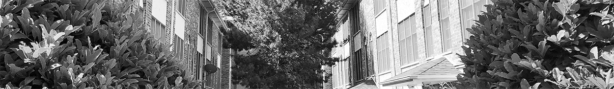 BW_slice_row1250