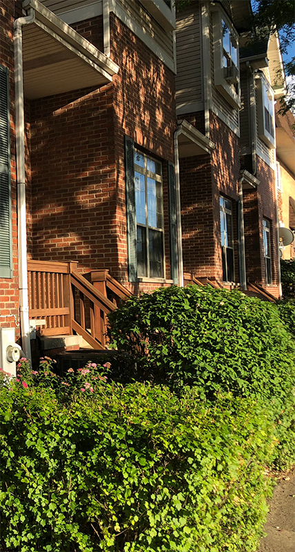 street_view_rowslicevert800